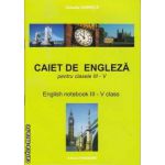 Caiet de Engleza pentru clasele 3-5 English notebook 3-5 class