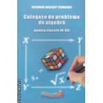 Culegere de probleme de algebra clasele 9-12