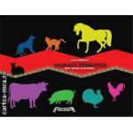 Animale domestice - Mic ghid ilustrat ( editura: Astro, autor: Radulescu Laura, ISBN 978-606-8148-43-4 )