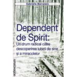 Dependent de spirit - un drum radical catre descoperirea iubirii de sine si a miracolelor ( editura : For You , autor : Gabrielle Bernstein , ISBN 9786066390538 )