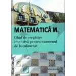 Matematica M1 - ghid de pregatire intesiva pentru examenul de bacalaureat ( editura : Nomina , autor : Dan Ion , ISBN 9786065356412 )