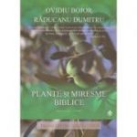 Plante si miresme biblice ( Editura: Dharana, Autor: Ovidiu Bojor, Raducanu Dumitru ISBN 9789738975828 )
