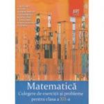Matematica Culegere de exercitii si probleme pentru clasa a XII-a ( Editura: Art Grup Editorial, Autor: M. Tena, T. Deaconu, M. Andronache ISBN 9789731249353)
