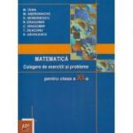 Matematica Culegere de exercitii si probleme pentru clasa a XI -a ( Editura Art Grup Editorial, Autor: M. Tena, M. Andronache, D. Savulescu ISBN 9789731243146 )