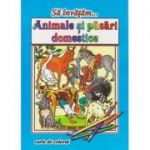 Sa invatam... Animale si pasari domestice, carte de colorat ( Editura: Roxel ISBN 9786067530599 )