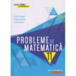 Probleme de matematica pentru clasa a XI-a: consolidare (Editura: Paralela 45, Autori: Lucian Dragomir, Adriana Dragomir, Ovidiu Badescu ISBN 9789734727995)