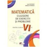 Matematica. Culegere de exercitii si probleme pentru clasa a VI-a ( Editura: Aramis, Autori: Ioan Pelteacu, Elefterie Petrescu ISBN 9786060093282)
