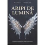 Aripi de lumina (Editura: Daksha, Autor: Gabriel Teofilos ISBN 978-973-1965-86-4)