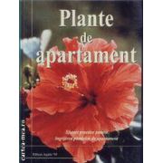 Plante de apartament