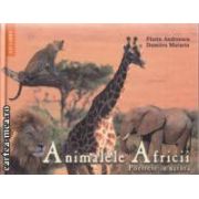 Animalele Africii Portrete in natura