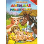 Animale Domestice Pui