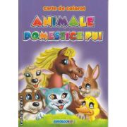 Animale Domestice Pui