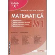 Culegere de exercitii si probleme Matematica M1 clasa 10 a