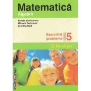 Matematica Algebra Exercitii si probleme clasa a 5-a