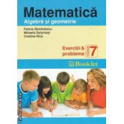 Matematica Algebra si geometrie Exercitii si probleme clasa a 7-a