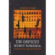 Un ospiciu numit Romania Cronica unui esec premeditat