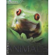 Animals (editura Macmillan, autor: Miranda Smith isbn: 978-0-7534-1801-7)