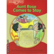 Aunt rose comes to stay (editura Macmillan, autor: Louis Fidge isbn: 978-1-4050-6001-1)