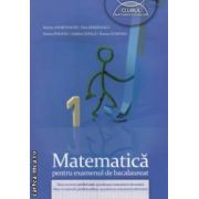 Matematica pentru examenul de bacalaureat M1 ( editura: Art, autori: Marian Andronache, Dinu Serbanescu ISBN ISBN 9789731248240 )