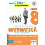 Matematica 2000 consolidare : Algebra , Geometrie : clasa a VIII - a , Partea I ( editura : Paralela 45 , coord . Radu Gologan ISBN 9789734717170 )