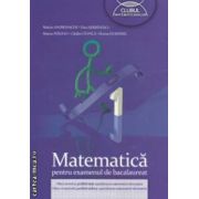 Matematica pentru examenul de bacalaureat, profilul real ( editura: Art, autori: Marian Andronache, Dinu Serbanescu ISBN 9789731249544 )