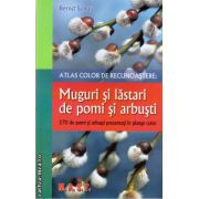 Atlas color de recunoastere: muguri si lastari de pomi si arbusti ( editura : M.A.S.T. , autor : Bernd Schulz , ISBN 9789731822990 )