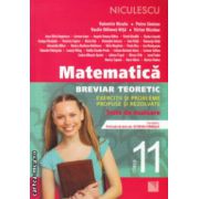 Matematica breviar teoretic clasa a XI ( Editura: Niculescu, Autor: Valentin Nicula, Petre Simion, Vasile Dilimot-Nita, Victor NIcolae ISBN 9789737487780 )