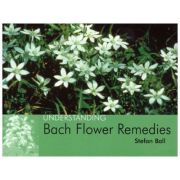 Understanding Bach Flower ( Autor: Stefan Ball, ISBN: 1-904439-03-9 )