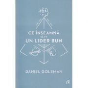 Ce inseamna sa fii un lider bun ( Editura: Curtea Veche, Autor: Daniel Goleman ISBN 9786065889149 )