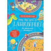 Prima mea carte cu labirinturi(Editura: Flamingo Junior ISBN 9786068555553)