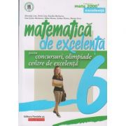 Matematica de excelenta clasa a 6 a (Editura: Paralela 45, Autor: Maranda Lint ISBN 9789734730483)