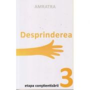 Desprinderea. Etapa constientizarii 3 ( Editura: Letras, Autor: Amratra ISBN 9786068935041)