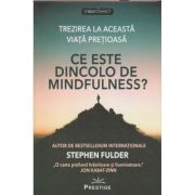 Ce este dincolo de mindfulness (Editura: Prestige, Autor: Stephen Fulder ISBN 9786069609040)