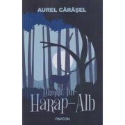 Lumile lui Harap-Alb (Editura: Pavcon, Autor: Aurel Carasel ISBN9786069625392)