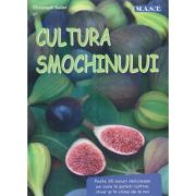 Cultura Smochinului (Editura: Mast, Autor: Christoph Seiler ISBN 978-606-649-159-4)