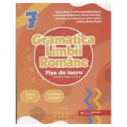 Gramatica Limbii Romane fise de lucru clasa a 7 a 2024(Editura: Paralela 45, Autor: Eliza-Mara Trofin ISBN 978-973-47-4141-0)